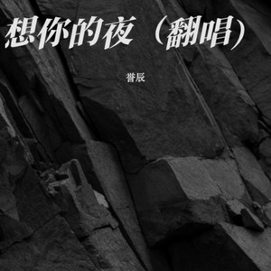 想你的夜