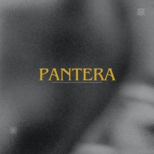 Pantera