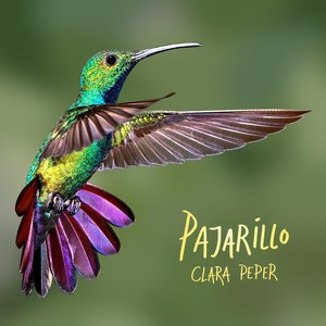 PAJARILLO