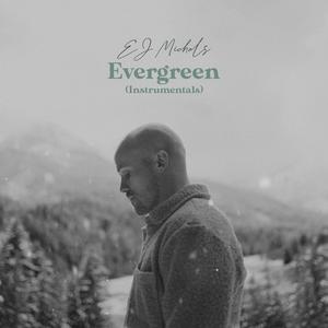 EJ Michels - Nothing Could Make You Love Me (Instrumental)