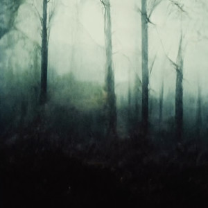 mono no aware (Explicit)