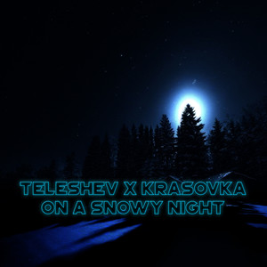 On a Snowy Night