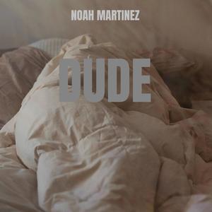 DUDE (Explicit)