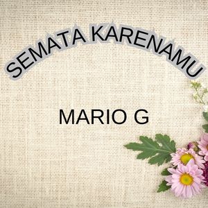 SEMATA KARENAMU