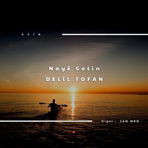 Delil Tofan - Nayê Gotin