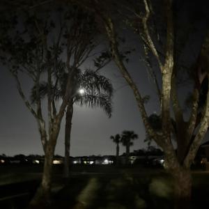 Shootin **** (feat. Thankful4mywrist) (Explicit)