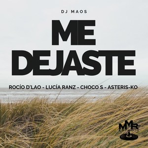 Me Dejaste