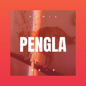 转世莲花 (DJ版)