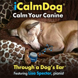 iCalmDog: Through a Dog's Ear - Calm Your Canine