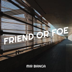 Friend or Foe (Explicit)