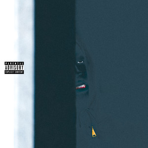 V.I.M. (Explicit)