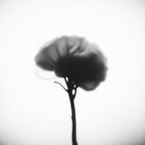 empty inside (Explicit)