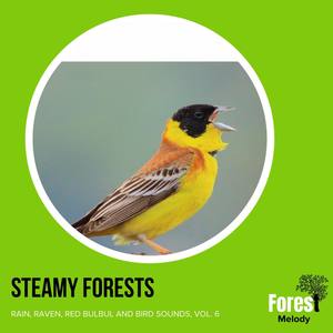 Steamy Forests - Rain, Raven, Red Bulbul and Bird Sounds, Vol. 6