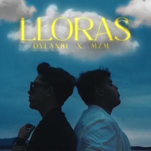 Lloras (feat. M.Z.M & Dylan81)