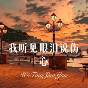 我正在渡这辈子最难的劫 (DJ版)