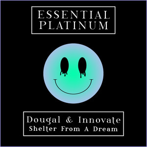 Shelter From A Dream