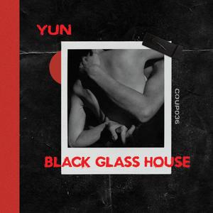 Black Glass House