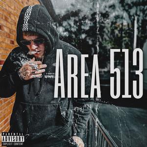 Area 513