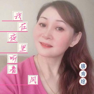 我在夜里听着风