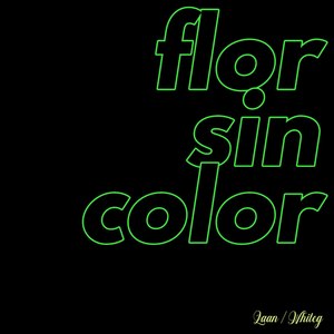 Flor Sin Color