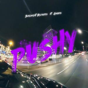 Pushy (feat. Gabrix) [Explicit]