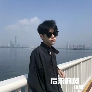 后来的风