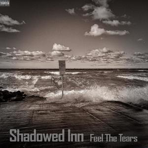 Shadowed Inn - Feel The Tears (Explicit)