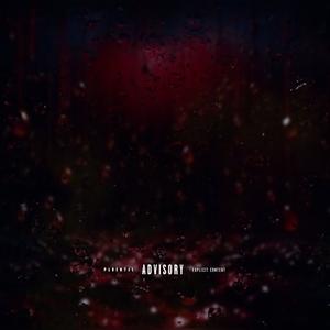 39ers (feat. TrapRich Shawty) (Explicit)