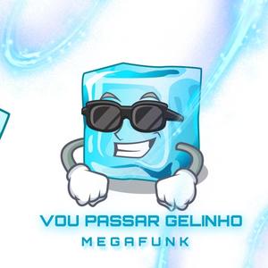 MEGA FUNK VOU PASSAR GELINHO