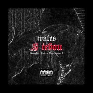 S tebou (feat. Waveslife, Andrew Kay & Lostmett) [Explicit]