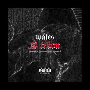 S tebou (feat. Waveslife, Andrew Kay & Lostmett) (Explicit)