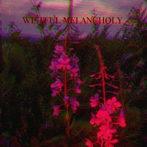 wistful melancholy (Explicit)