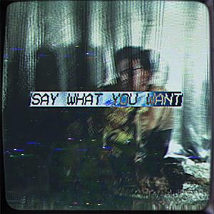 Say What You Want (Explicit)