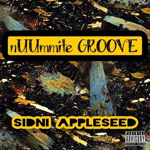 Nuummite Groove (Explicit)