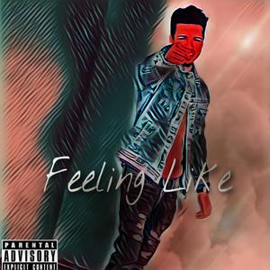 Feeling Like (Explicit)