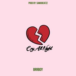 Cry all night (Explicit)