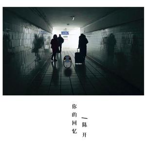 你的回忆-陈开