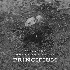 Principium