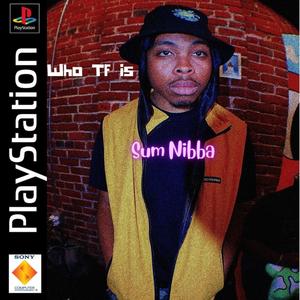 Who Tf is Sum Nibba? (Explicit)