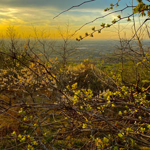 don't give up (Explicit)