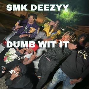 Dumb Wit It (Explicit)