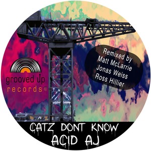 Catz Don't Know (Ross Hillier Remix)