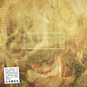 Control The Chaos (Buddygirrl Remix)