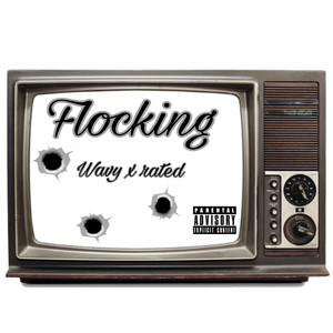 Flocking (Explicit)