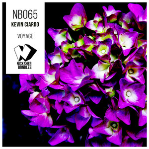 Voyage (Original Mix)