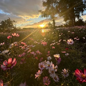 Una Mattina (同我啜泣 共我悲鸣)
