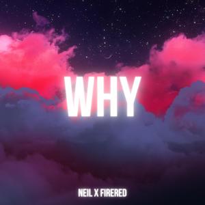 Why(feat. FireRed)
