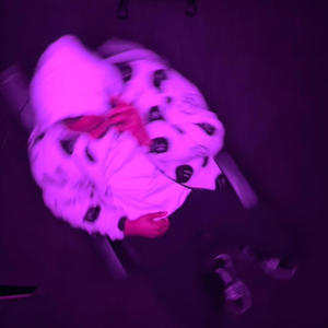 Forest of the Night (feat. Rakai) (Explicit)