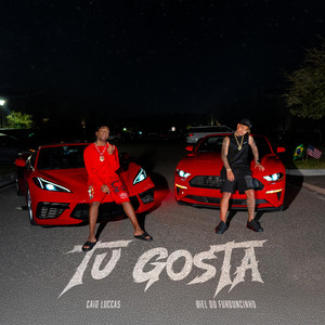 Tu Gosta