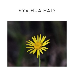 Kya Hua Hai?